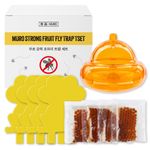 [MURO] Fruit Fly Trap Set – Dual Attraction Power with Sticky Trap & Vinegar-Sugar Lure for Flying Insects | Effective & Easy Pest Control